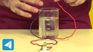 Dilute acid zinc and copper make an electric cell  Electricity  Physics [upl. by Tiffy754]