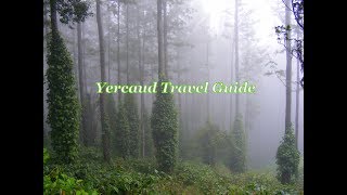 Yercaud tourist places  Yercaud Travel Guide  Yercaud tourism [upl. by Yrojram]