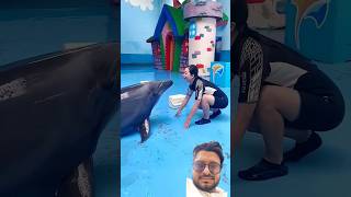 Dolphin fishing 🦦 🥰 ll dolphin dolphinlove swimming cute shortvideo funny viralvideo 1millon [upl. by Crescentia]