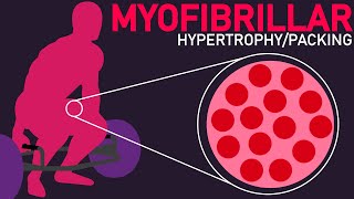 Stronger and Bigger Muscles Myofibrillar PackingHypertrophy [upl. by Turoff]