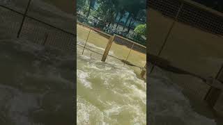 bangalore rainalert marathahalli ecospace [upl. by Ardena]