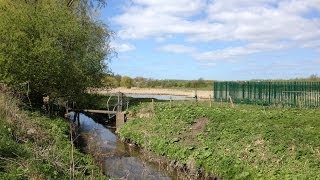 Sedgeletch to Herrington Country Park following the Burn [upl. by Nelav136]