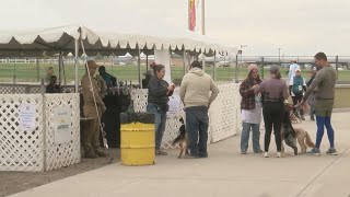 Dogs dawdle by their owners sides for annual event in Balloon Fiesta Park [upl. by Hilde503]