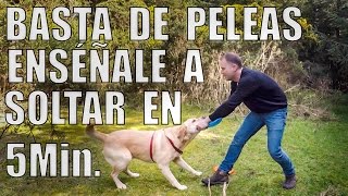 Enseña a tu Perro a SOLTAR con Adiestramiento en Positivo [upl. by Enelyk74]