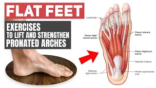 Flat Feet  Rehab Exercises for Pronated Arches [upl. by Drusilla293]