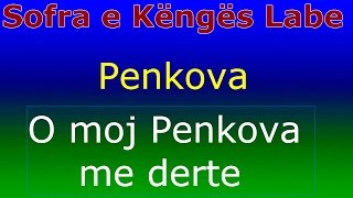 Grupi i Penkovës  O moj Penkova me derte  Sofra e Këngës Labe [upl. by Meerak]