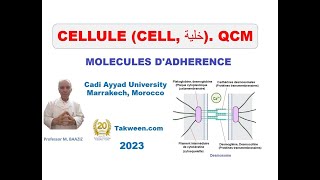 Cellule Molécules dadhérence QCM Adhérences cellulecellule et cellulematrice extracellulaire [upl. by Cocks975]