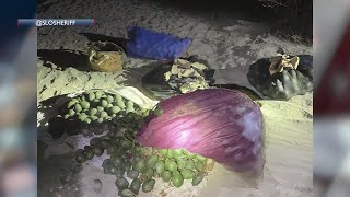 Two men suspected in Nipomo grand theft avocado [upl. by Polik]