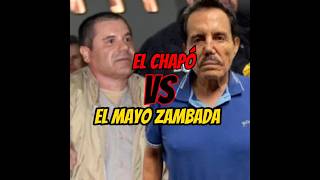 Chapó vs mayo narcos narcosmexico [upl. by Arikaahs]