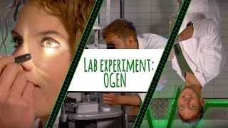 ALLES OVER JE OGEN – TOPDOKS LAB EXPERIMENT [upl. by Fabrianna916]