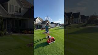 Diamonds are a lawn dads best friend 💎⛳️ satisfying lawn diy reelmower [upl. by Ringsmuth287]