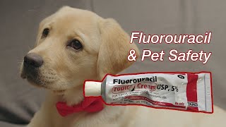 Fluorouracil and Pet Safety  How You Can Keep Your Pets Safe When Using 5FU [upl. by Pears]