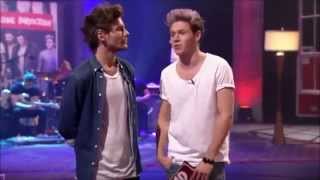 1D Day Hour 3 Niall and Louis [upl. by Nevar380]