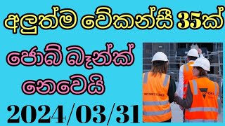 new job vacancies 2024goverment jobsjob vacancy today jobsjobs in srilanka job guide sinhala [upl. by Rothenberg665]