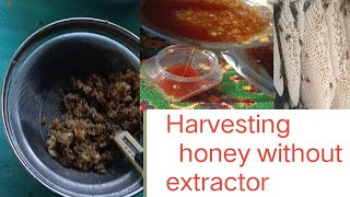 How to filter honey in traditional hives without heat traditionalfood beekeepingforbeginners [upl. by Vento]