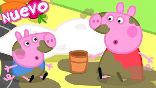 Los Cuentos de Peppa la Cerdita  ¡A ordenar  NUEVOS Episodios de Peppa Pig [upl. by Yrelle244]