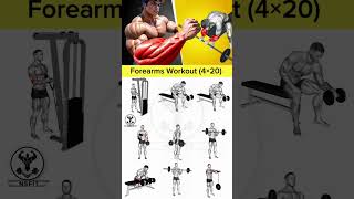 Top Fitness Expert Shares 3 Simple Exercises to TONE Your Forearms armworkout forearms [upl. by Aisatsan82]