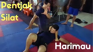 Pentjak Silat Harimau Techniques [upl. by Edla]