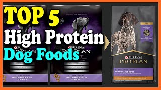 ✅Top 5 Best High Protein Dog Foods Reviews in 2023 [upl. by Cinom]