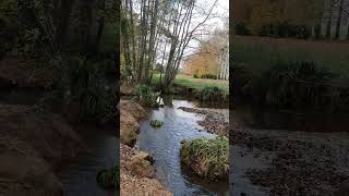 River at Eastleigh Park walk and vlogs 12th Nov 2024 [upl. by Suolekcin773]