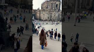 dresden shortvideo travel discovergermany amazing oldtown historical [upl. by Ardnuassac951]