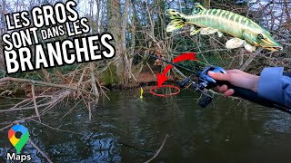 On RECHERCHE le BROCHET MÉTRÉ sur L ÉTANG PERDU Ft AlexFishingytb [upl. by Forbes370]