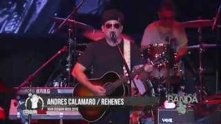 Cosquin Rock 2015  Andres Calamaro  Rehenes [upl. by Keven]