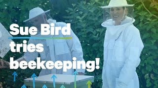 Symetra helps Sue Bird spread her wings in retirement by learning beekeeping from pro bee rescuers [upl. by Soinotna80]