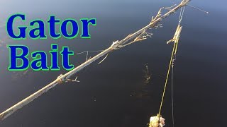 How to Hang Alligator Bait [upl. by Aramit]