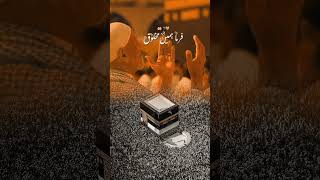 Ameen sum ameen ❤️🙏😭😀🤲 foryou duetting islamicprayer viralvideo unfrezzmyaccount duet [upl. by Alakim]