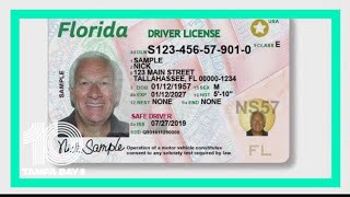 Floridians struggle with long delays to renew driver licenses [upl. by Cleodel]