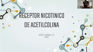 RECEPTOR NICOTINICO DE ACETILCOLINA DIEGO BERNAL [upl. by Hardner338]