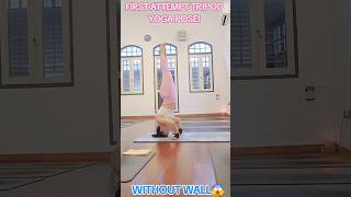 TRIPOD HEADSTAND  YOGA POSE mohrayogalifestyle [upl. by Hoj]