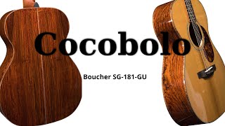 Boucher SG181GU  Cocobolo Acoustic Guitar [upl. by Aurelia]