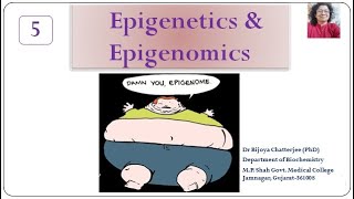 Epigenetics amp Epigenomics Part5 [upl. by Zena]