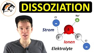 Dissoziation – Säuren Salze amp Dissoziationsgleichung  NEU [upl. by Aynosal]