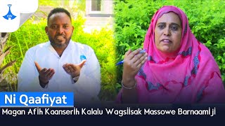 Ni Qaafiyat Magan Afih Kaanserih Kalalu Wagsiisak Massowe Barnaamiji [upl. by Slein342]