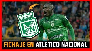 🔥😨NUEVO DELANTERO ATLETICO NACIONAL ¿KEVIN VIVEROS ES LA GRAN OPCION QUE MANEJAN [upl. by Egwin113]