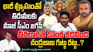 Former CM Jagan to Tirumala with Huge strategy Pawan Kalyan In Tension   Daamu Balaji Diaries [upl. by Ellehsad239]