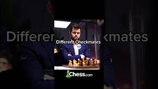 W CHECKMATES chess checkmate magnuscarlsen  part 1 [upl. by Woodrow]