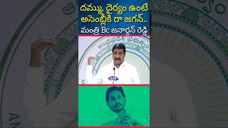 Bc Janardhan reddyv fires on Ys jagan ysjagan apassembly tdp shorts [upl. by Nahgeam]