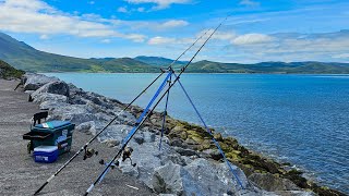 Fishing Fenit Pier  West Coast  Republic of Ireland [upl. by Gassman]