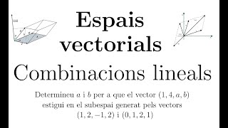 Espais vectorials Combinacions lineals  Part 4 [upl. by Baxie]