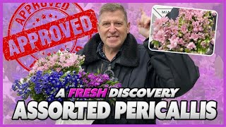 JFTV A Fresh Discovery PERICALLIS with Mike [upl. by Ecinue]