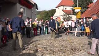 Drusch mit Dreschflegel 1200 Jahrfeier Birndorf Erntedank [upl. by Thetos691]