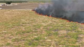 Grass fire Tehachapi California North side of Highline road between Denison and Stuber 061424 [upl. by Ettelra]