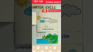 Water cycle  जल चक्र jal chakr watercycle science scienceproject school viralvideo ytshorts [upl. by Iams]