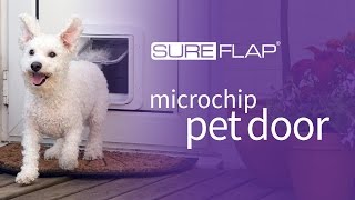 SureFlap Microchip Pet Door  Button Overview [upl. by Yrred]