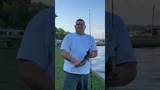 Catfish Brookville Lake Indiana bigcatfish fishusa [upl. by Manly406]