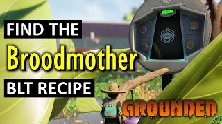 Find the Broodmother BLT Recipe  Grounded 2024 [upl. by Herrera635]